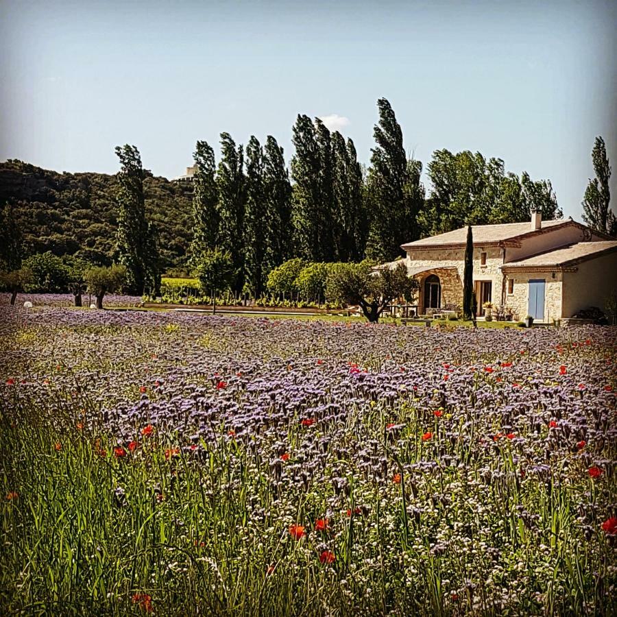 Fontaine De Cerier Bed & Breakfast Castillon-du-Gard Dış mekan fotoğraf